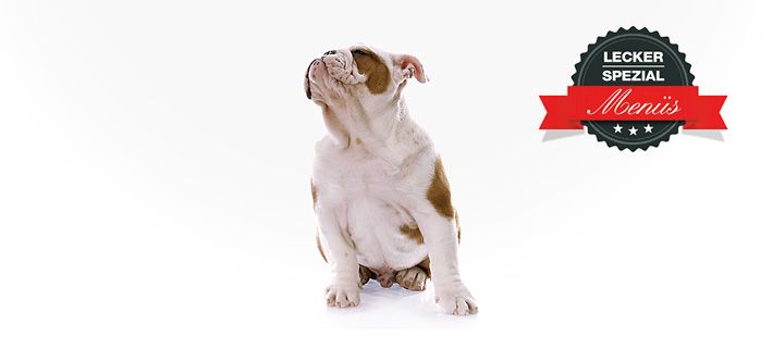 Barf Menü für Hunde - Exoten mit Rehgulasch 30 Artikel