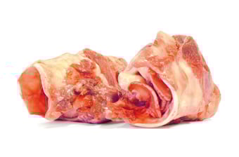 Knochen & Knorpel