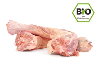 Bio Knochen & Knorpel