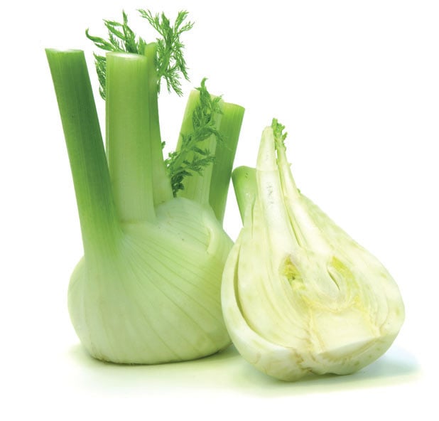 Fenchel