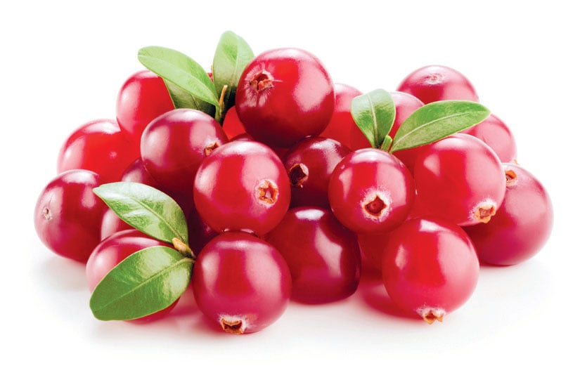 Cranberry