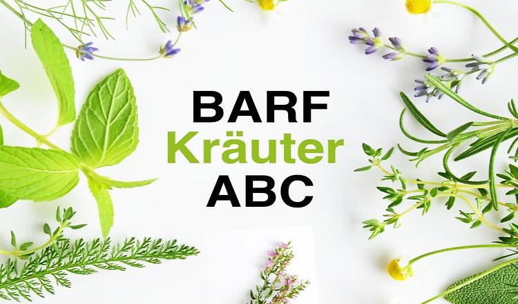 BARF-Kräuter-ABC