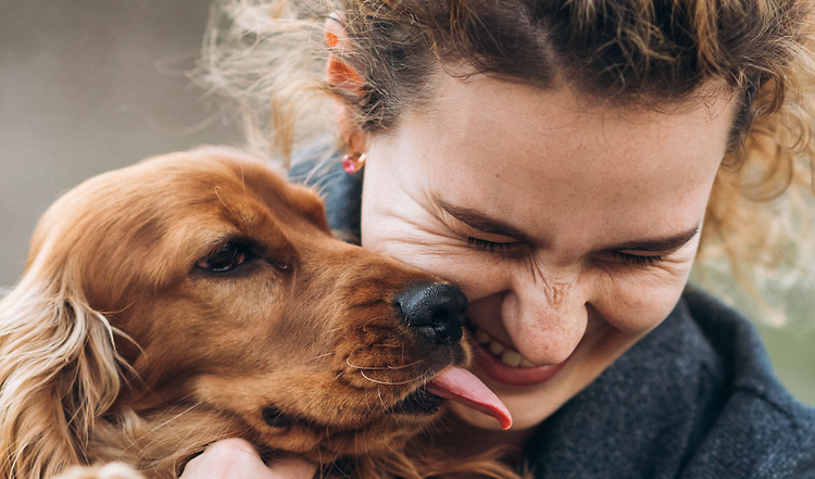 Sind Menschen mit Hund glücklicher?