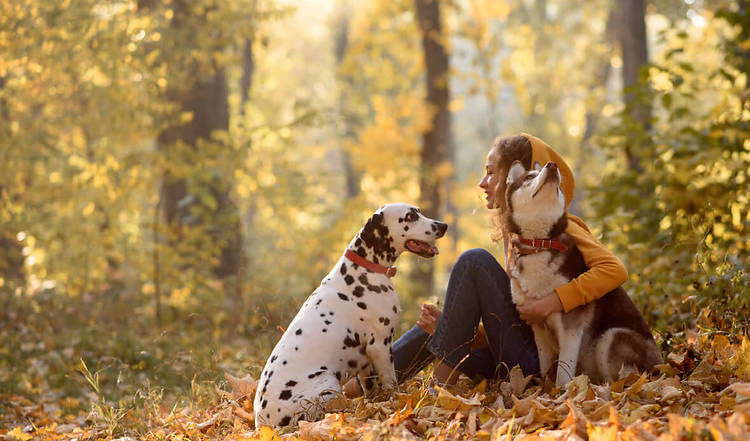 Herbst-Bucket-List
