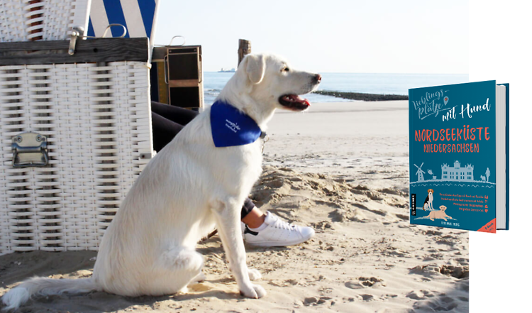 5 Lieblingsplätze mit Hund an der Nordseeküste