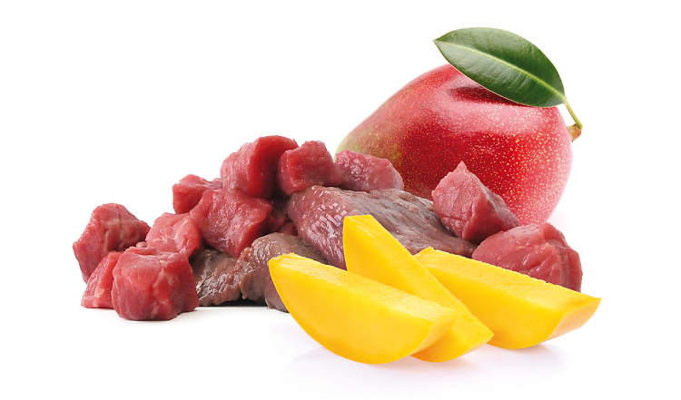 Fruchtig-herzhaftes Mango-Wild BARF