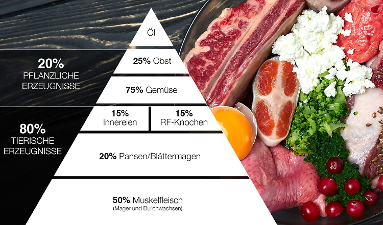 Die BARF Futterpyramide