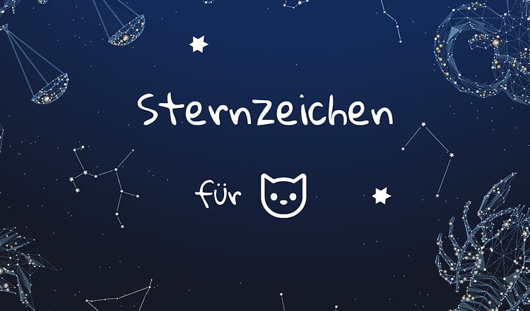 Katzen-Sternzeichen