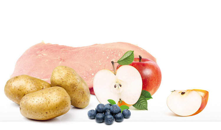 Putenfleisch mit Kartoffel, Apfel & Heidelbeeren