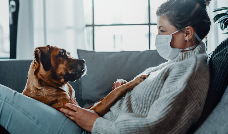 Das Coronavirus – Was Hunde- und Katzenhalter jetzt wissen müssen