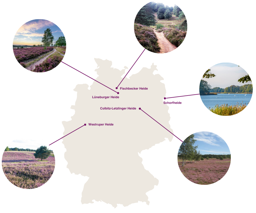 Deutschlandkarte Heidestandorte