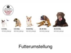 Futterumstellung