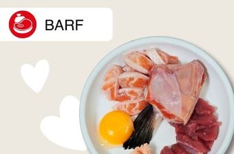 Barf