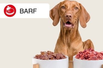 Barf