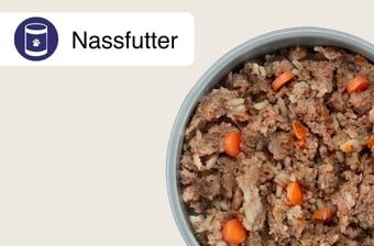 Nassfutter