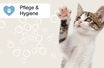 Pflege & Zubehör
