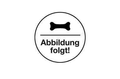 Würfel Wildragout in Stücken