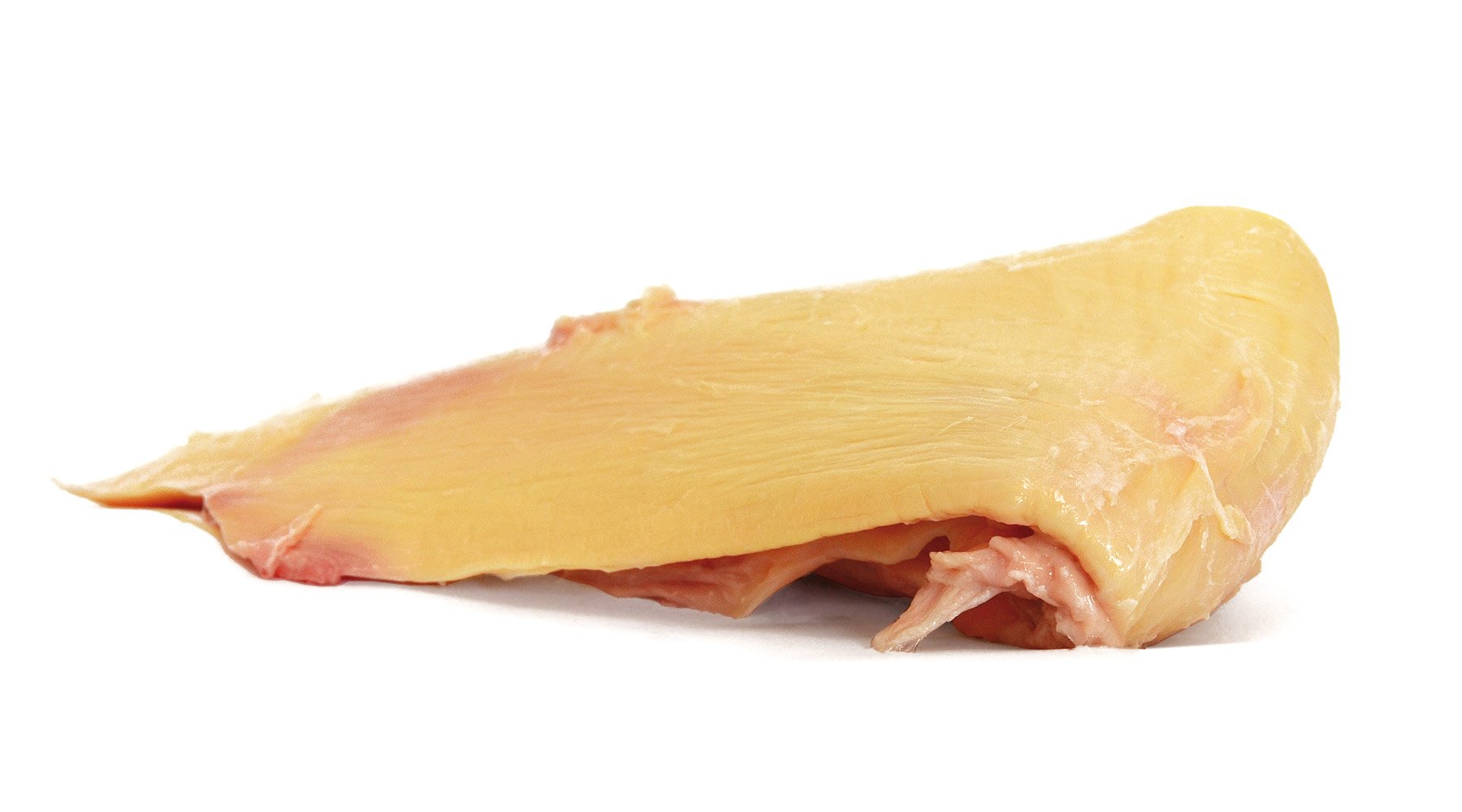 BARF Nackensehnen vom Rind für Hunde online kaufen TACKENBERG seit 1974
