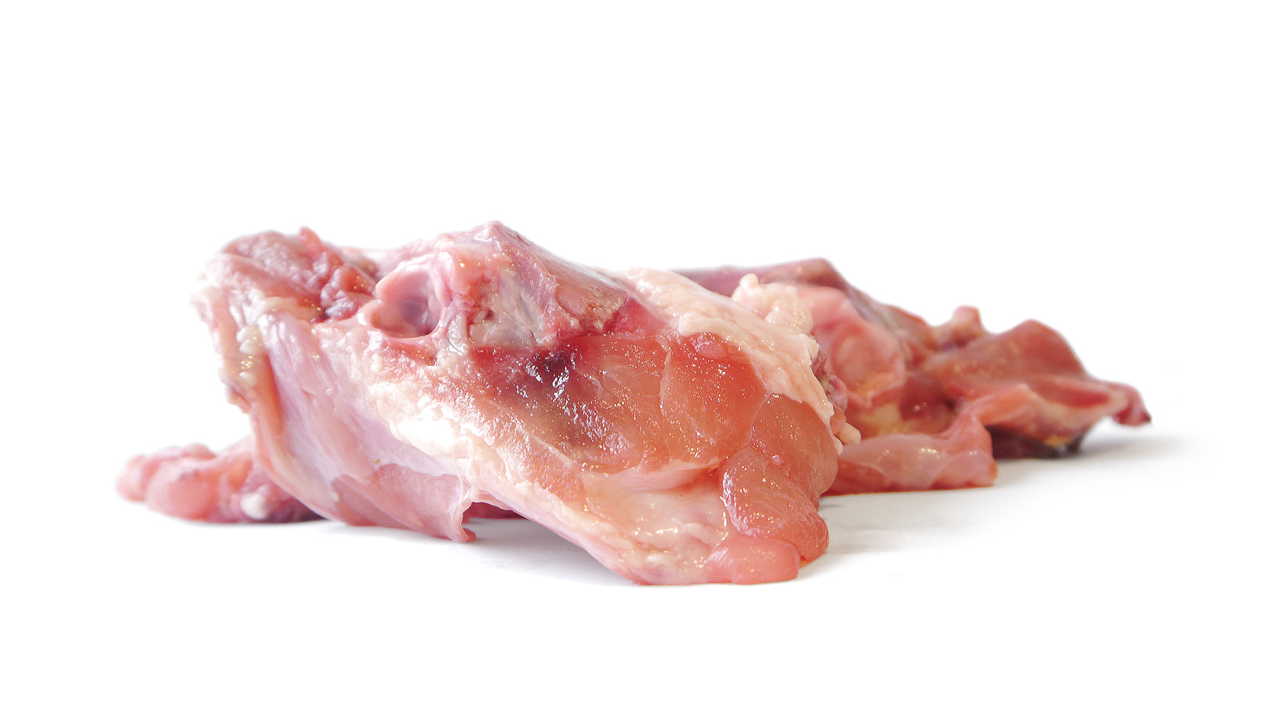 Rückenknochen vom Huhn Rückenknochen vom Huhn