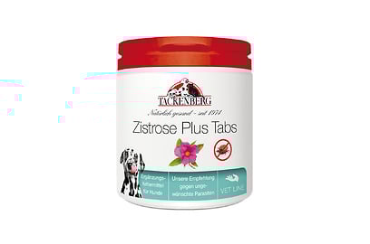 Zistrose Plus Tabs