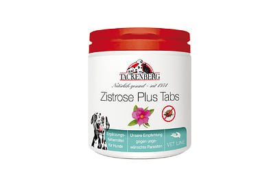 Zistrose Plus Tabs