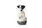 Produkt Bild Keramiknapf für Hunde in weiß 4