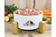 Produkt Bild BARF Menü vom Rind mit Reis, Apfel und Lachsöl 2