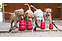 Produkt Bild Hundespielzeug Kong Classic 4