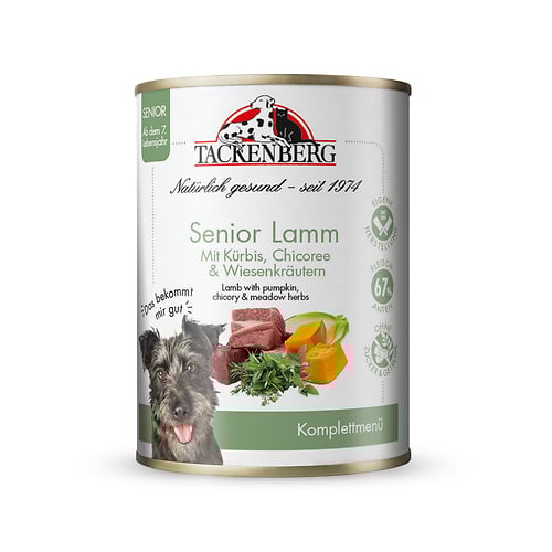 Die richtige Ernährung für alte Hunde ab wann SeniorFutter? Tackenberg Magazin für Hunde