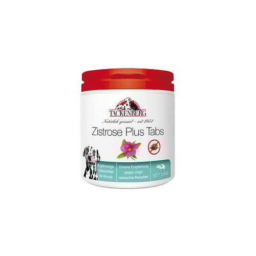 Zistrose Plus Tabs im bei Tackenberg