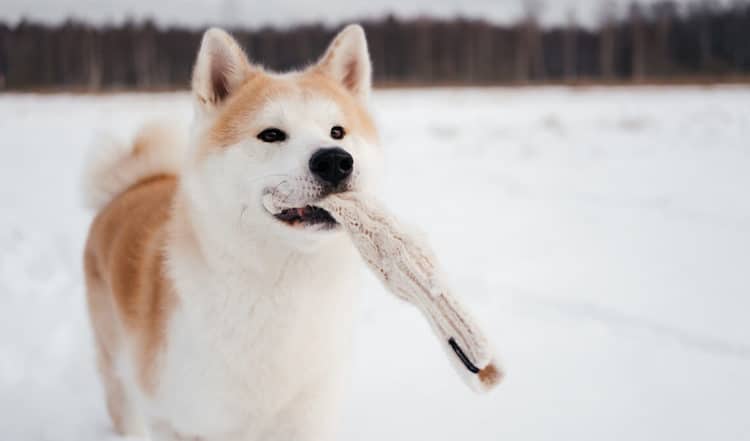 Im Winter sind wir dick eingepackt; ausgestattet mit Mütze