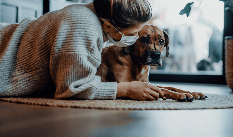 Hundeboom dank Lockdown. Das Jahr 2020/2021 macht immer mehr Menschen zu Haustierbesitzern. Der Hunde-Kauf sollte jedoch wohl überlegt sein.