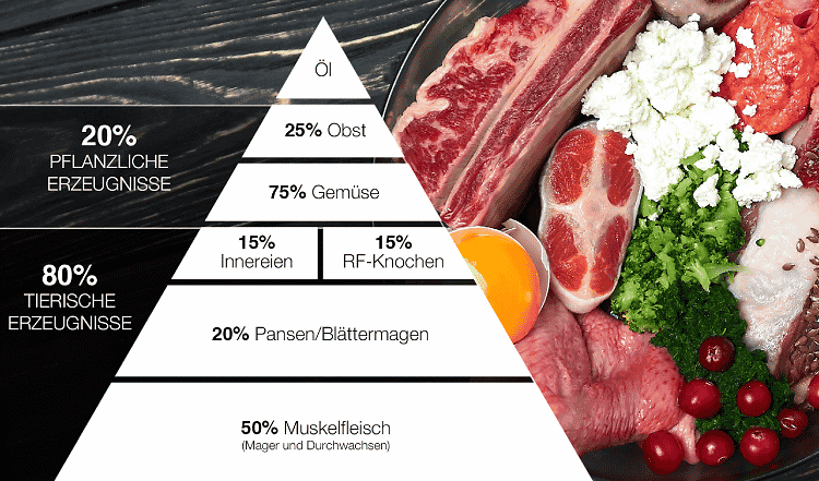 BARF Rationsberechnung ganz einfach mit der Futterpyramide. Die BARF Futterpyramide soll dir dabei behilflich sein