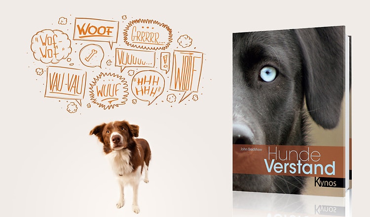 Was Hunde wirklich denken und wollen erfahren Sie in diesem Buch: Biologen wissen heute weit mehr darüber