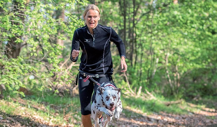 Ab in die Natur! Was gibt es schöneres als Outdoor-Aktivitäten mit Ihrem Hund? Erfahren hier Sie mehr über den Trend Canicross.