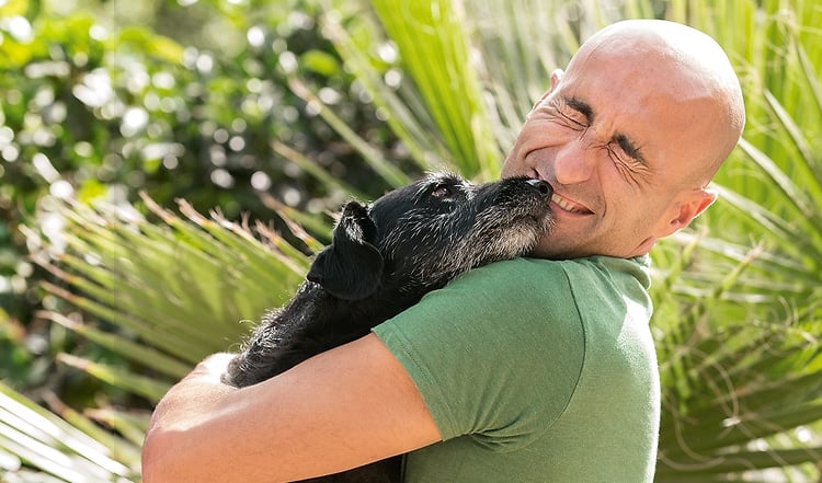 Seinen Hund zu lieben