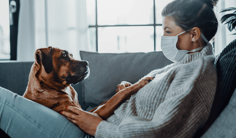 Was bedeutet COVID-19 für den täglichen Umgang mit Hund und Katze? Können Haustiere das Virus übertragen? Und was tun