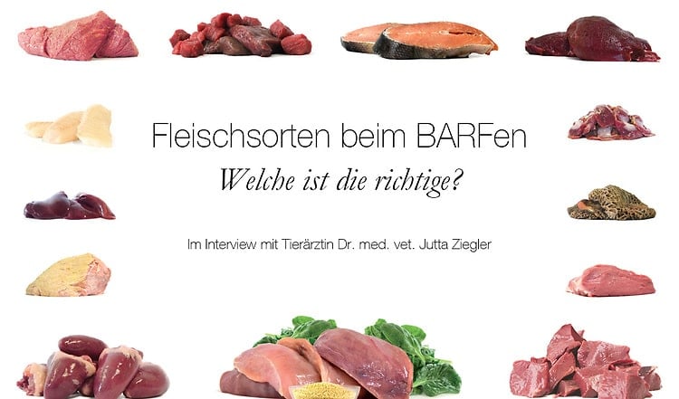 Die Hauptzutat beim BARFen ist natürlich Fleisch. Daher ist es besonders wichtig