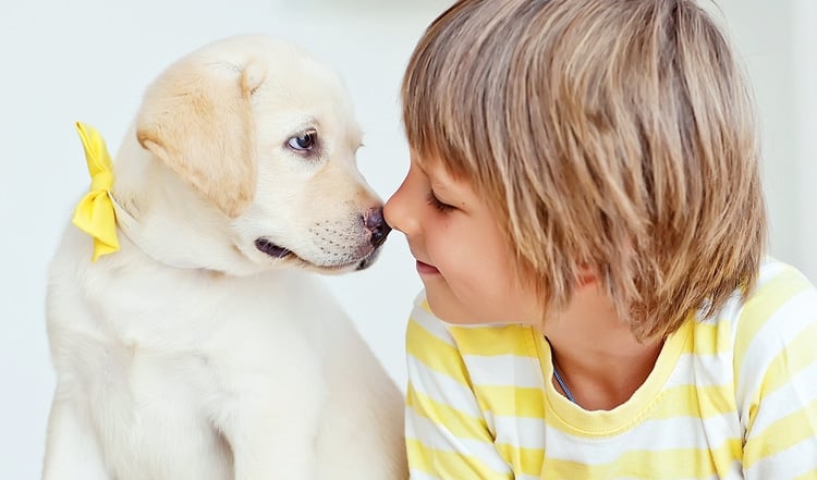 Ein Blick sagt mehr aus tausend Worte – das gilt auch für den Hund. Wir zeigen dir