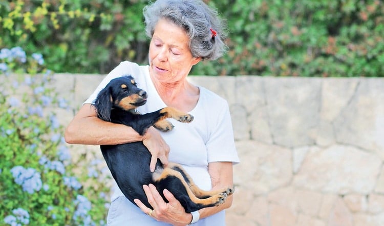 Herrenlose Hunde sind auf Ibiza nicht gern gesehen. Was ein deutsches Ehepaar mit seinem Verein dagegen tut und wie du helfen kannst