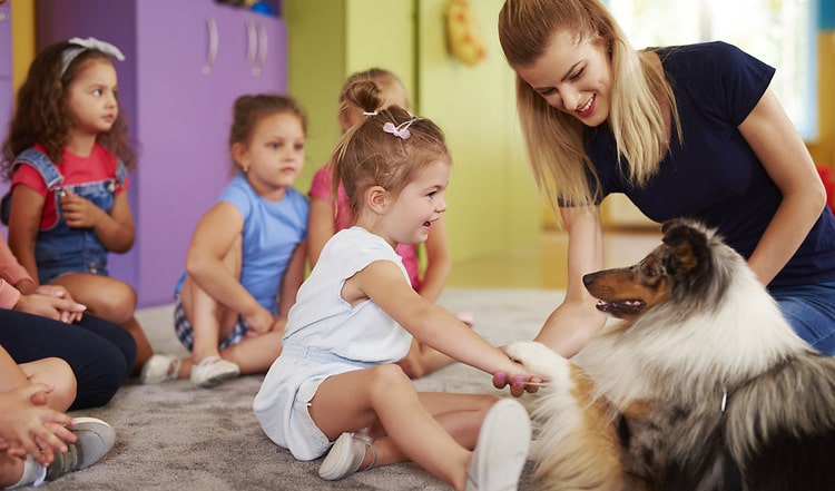 Der Therapiehund hat ein großes Aufgabengebiet