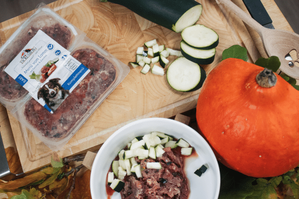 Barf Menü Lamm mit Zucchini und Fenchel mit herbstlicher Deko.