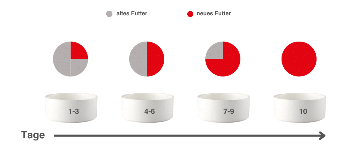 Schrittweise Futterumstellung von 10 Tagen.