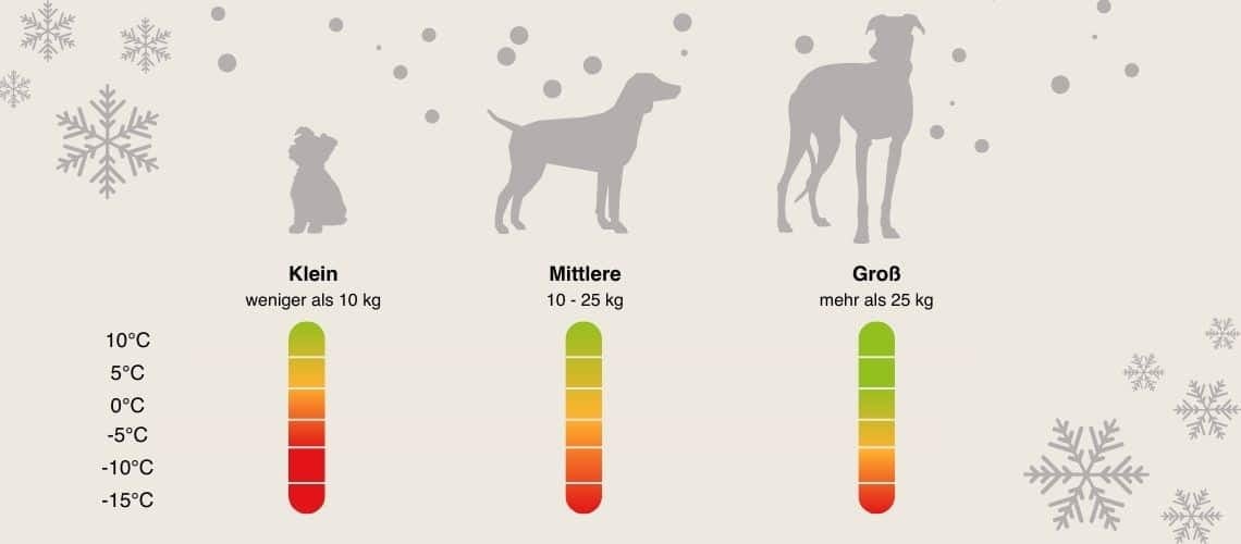 Hunderassen und ihr Kälteempfinden in einer Orientierungstabelle.