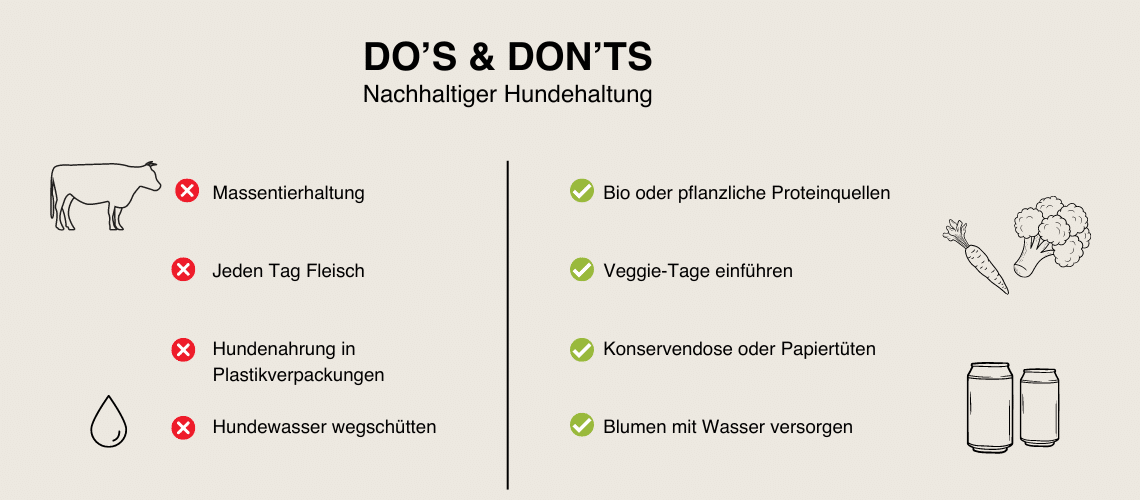 Do's & Don'ts der nachhaltigen Hundeernährung