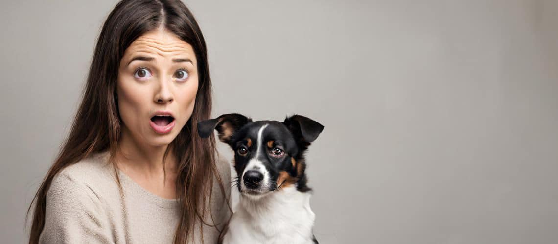 Wie oft Welpen füttern Tipps zur Welpenernährung Tackenberg Magazin für Hunde & Katzen