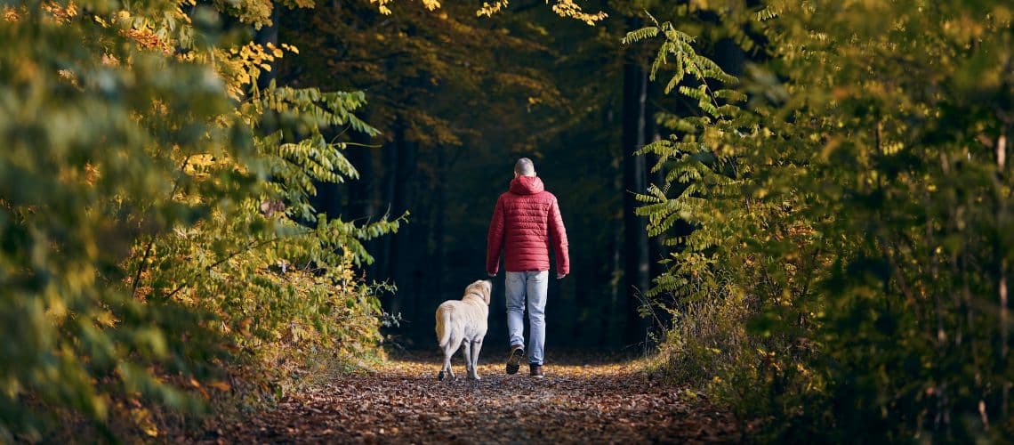 Senioren Hund und Besitzer im Wald.