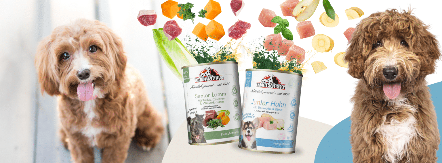 Artgerechte Ernährung für alle Altersklassen Tackenberg Magazin für Hunde & Katzen