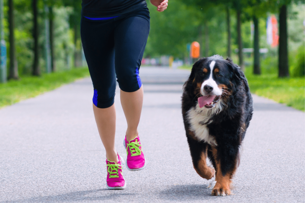 Ein Jogger mit einem Hund.