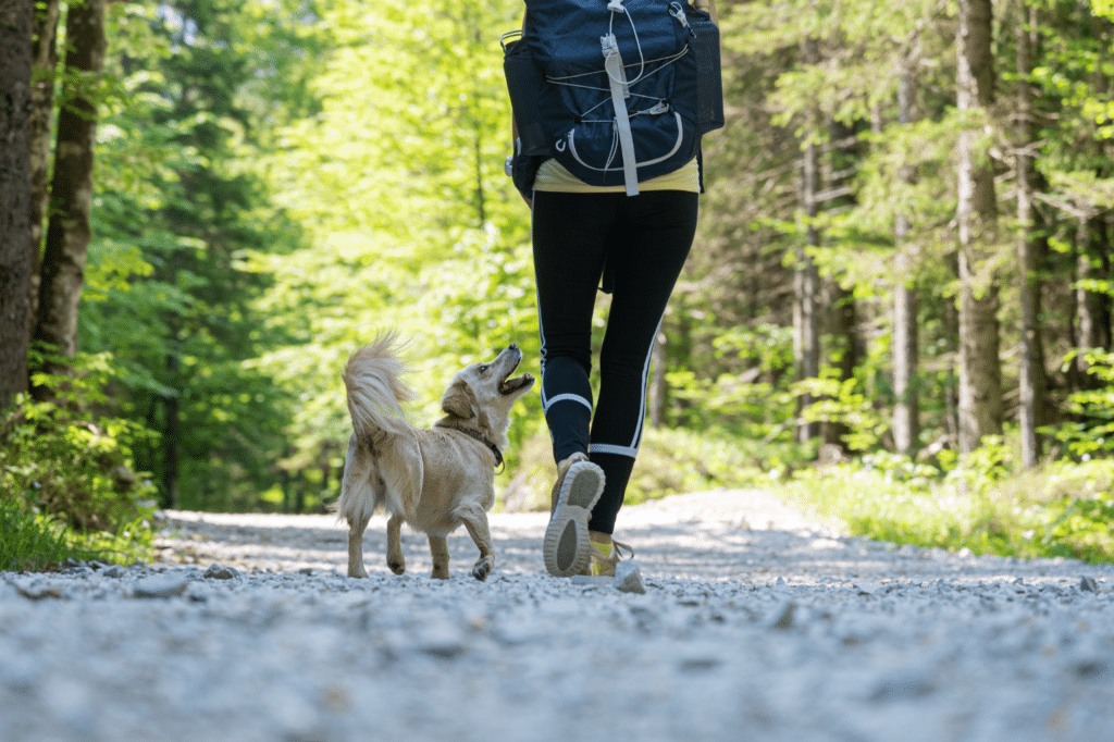 Ein Wanderer mit Hund in der Natur.